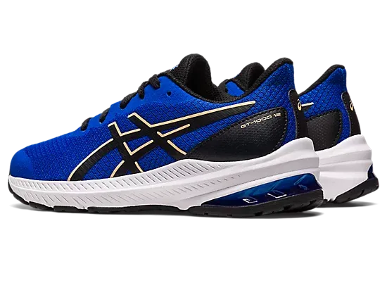 Kids' GT-1000 12 GS asics Shoes