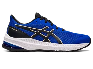 Kids' GT-1000 12 GS asics Shoes