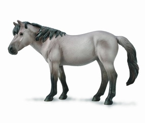Konik Mare  Blue Dun