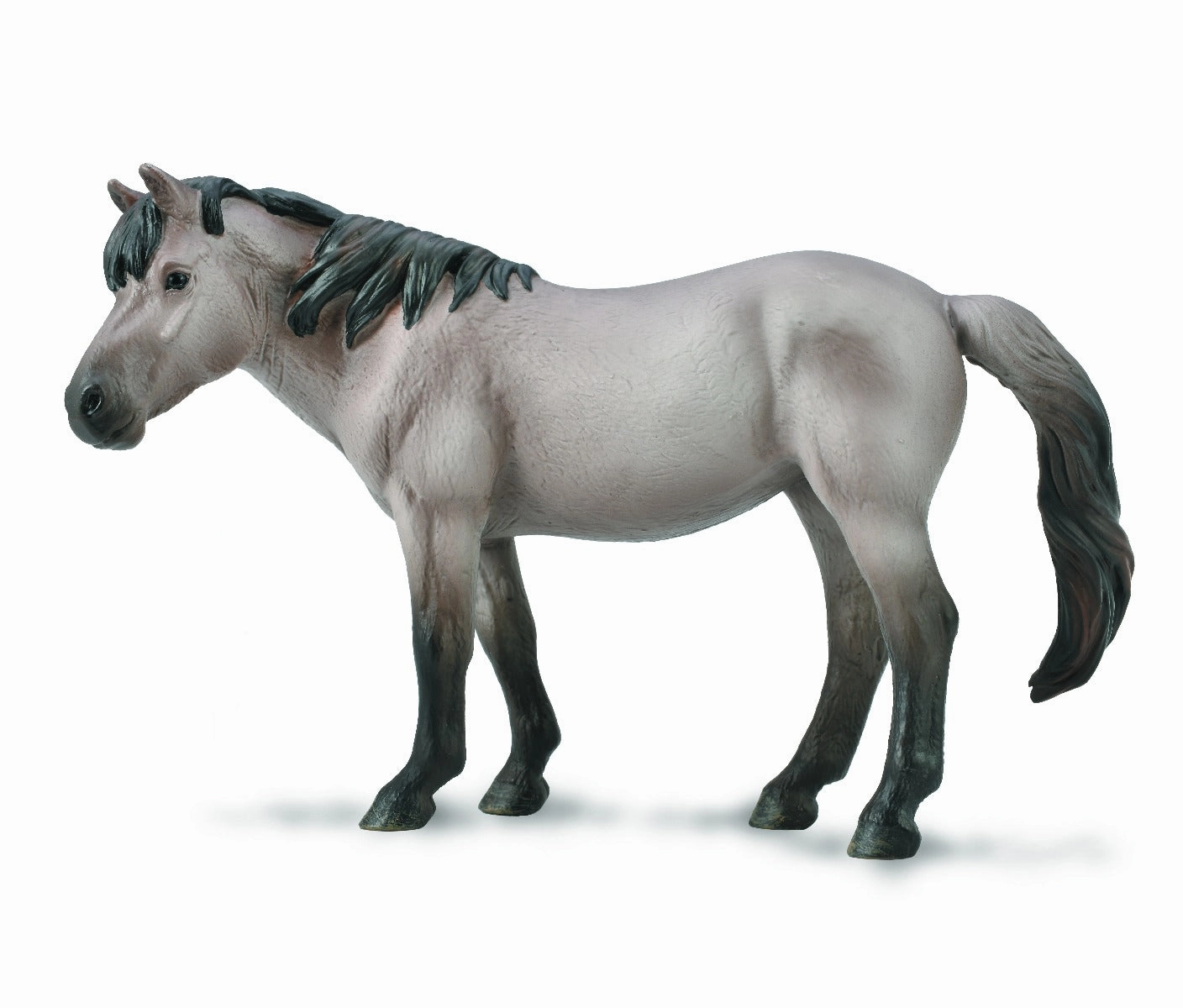 Konik Mare  Blue Dun