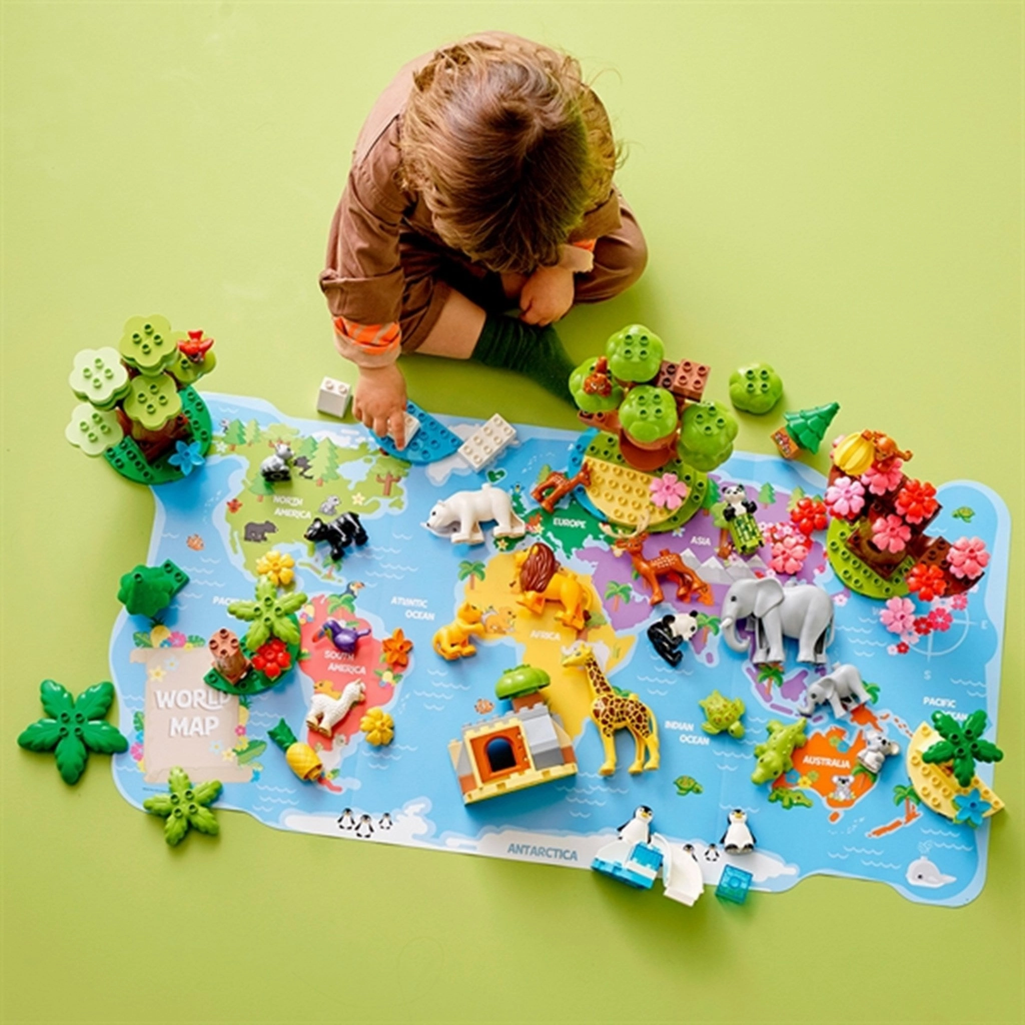 LEGO DUPLO Wild Animals of The World
