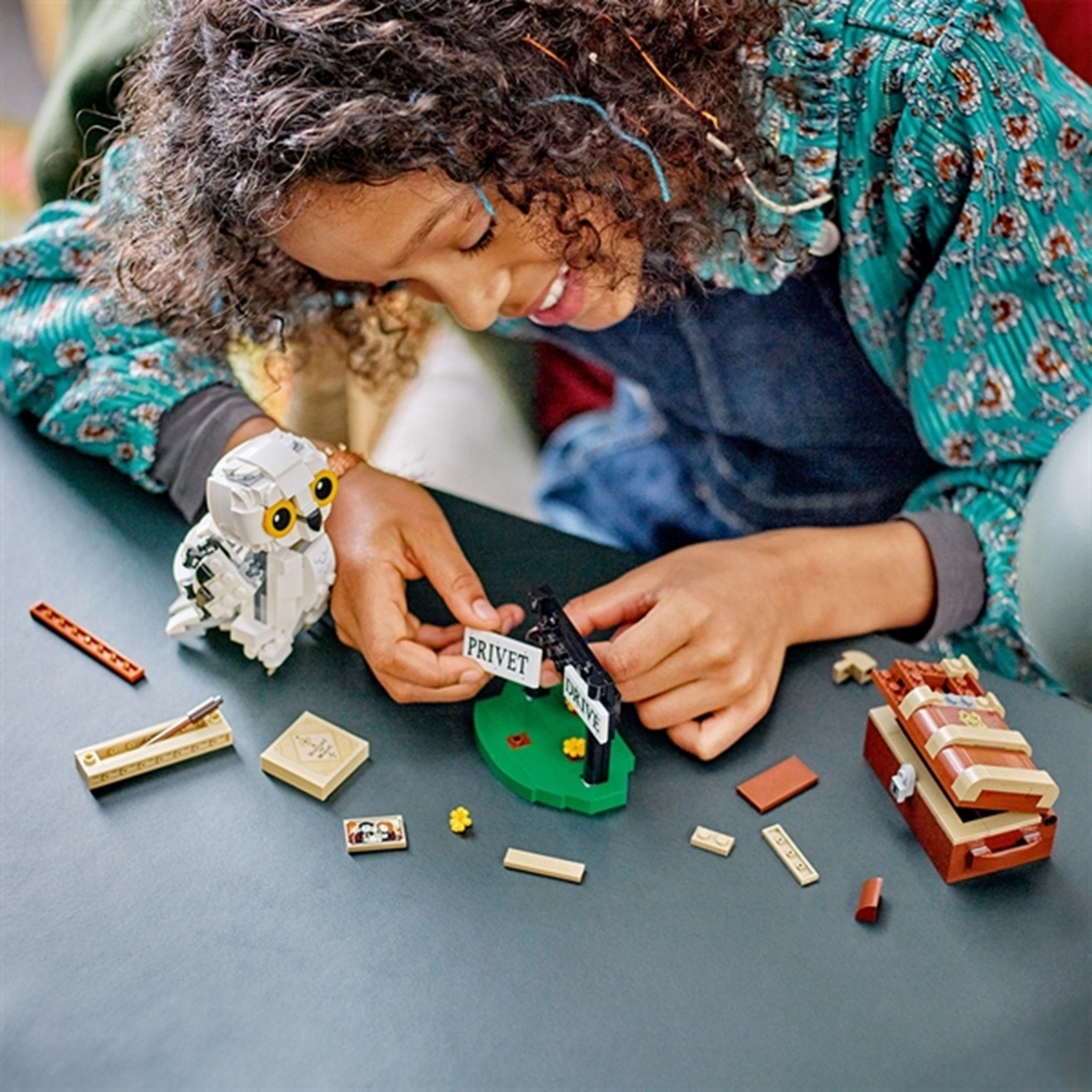 LEGO? Harry Potter? Hedwig? at 4 Privet Drive