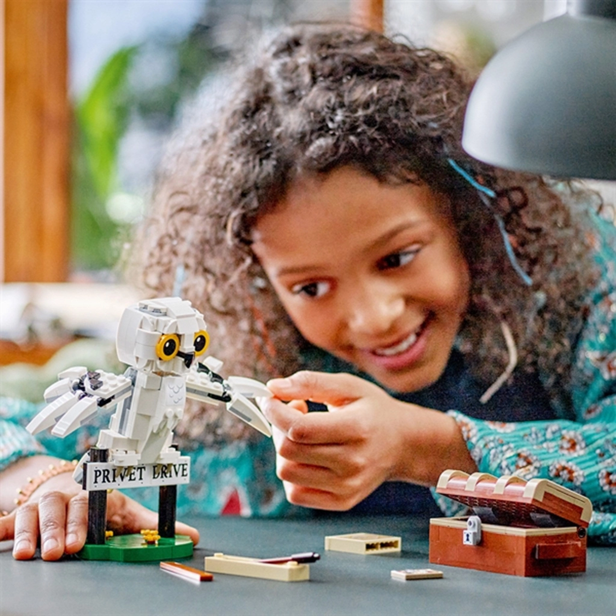 LEGO? Harry Potter? Hedwig? at 4 Privet Drive