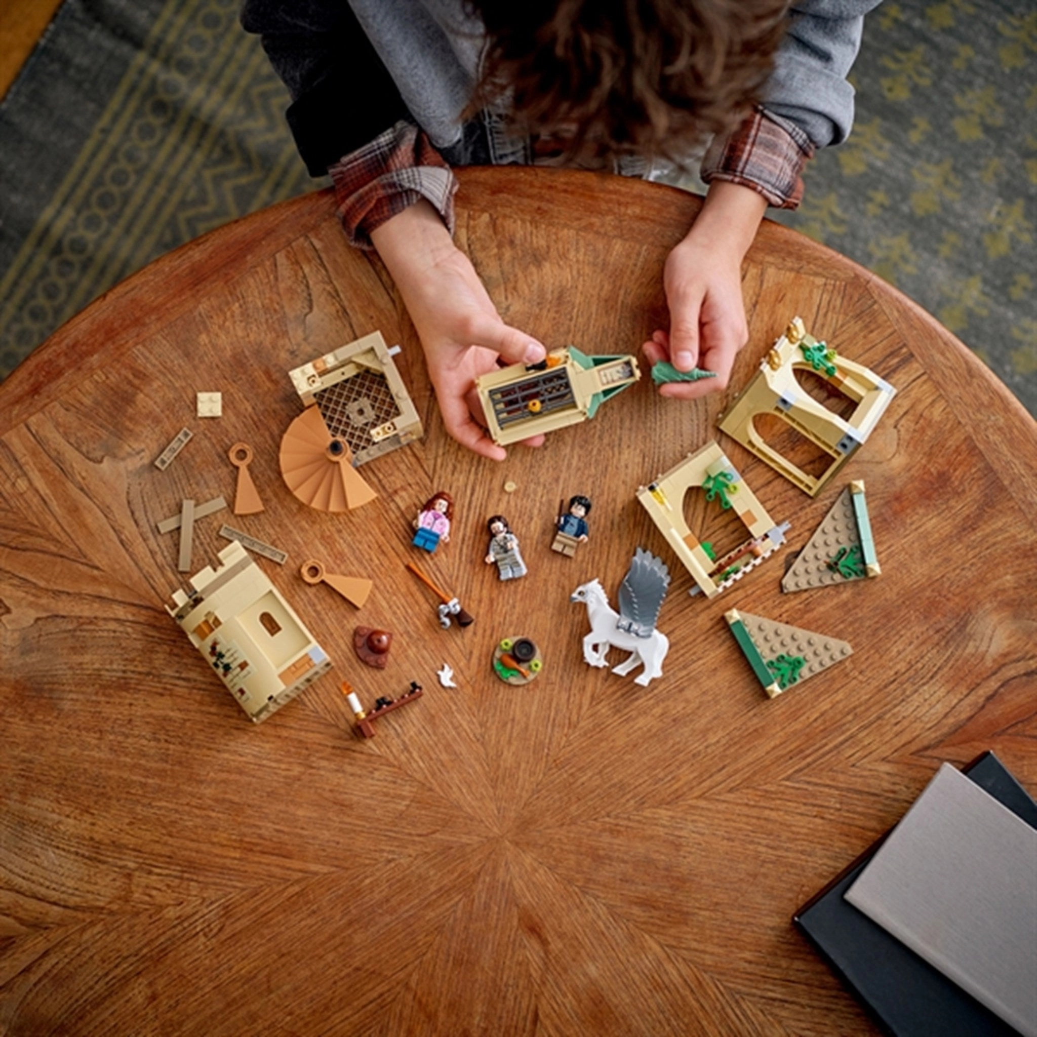 LEGO? Harry Potter? Hogwarts? Courtyard: Siriuss Rescue