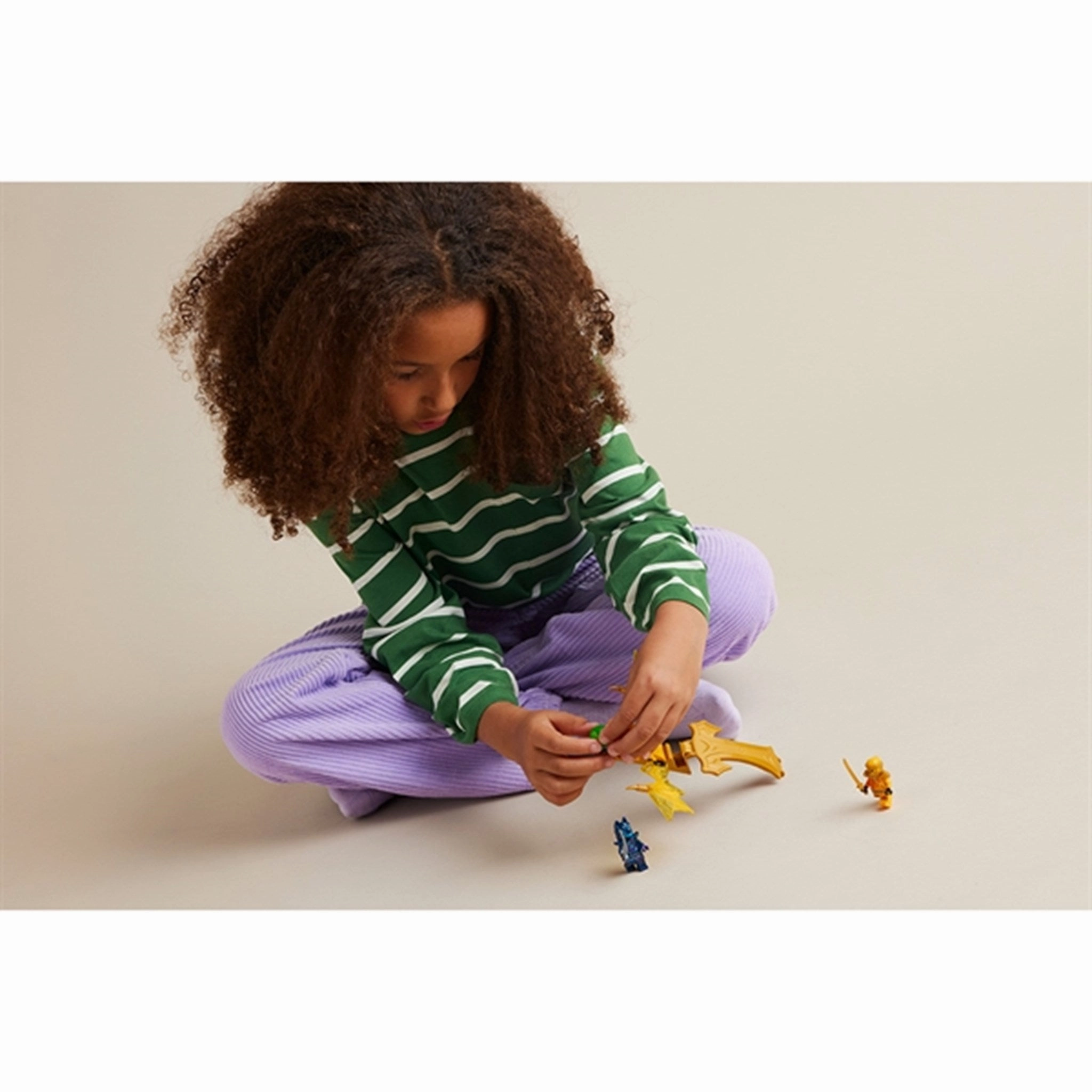LEGO? NINJAGO? Arin's Rising Dragon Strike