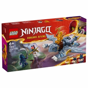 LEGO? NINJAGO? Young Dragon Riyu
