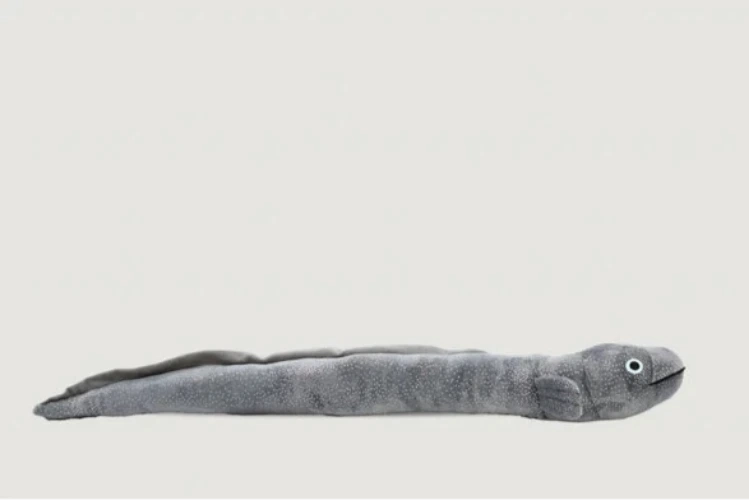 Long Finned Eel plush Moana