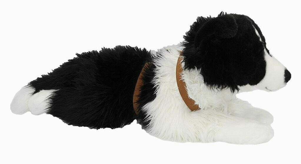 Mac Border Collie with Harness large