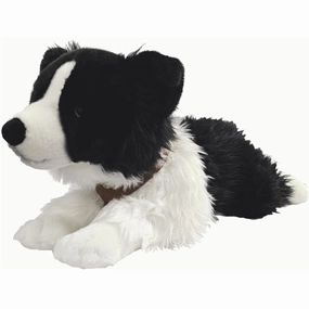 Mac Border Collie with Harness large