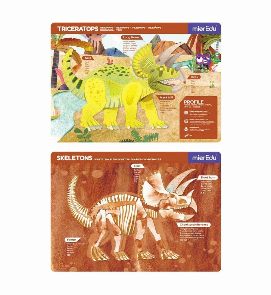 Magnetic Pad Triceratops - MierEdu