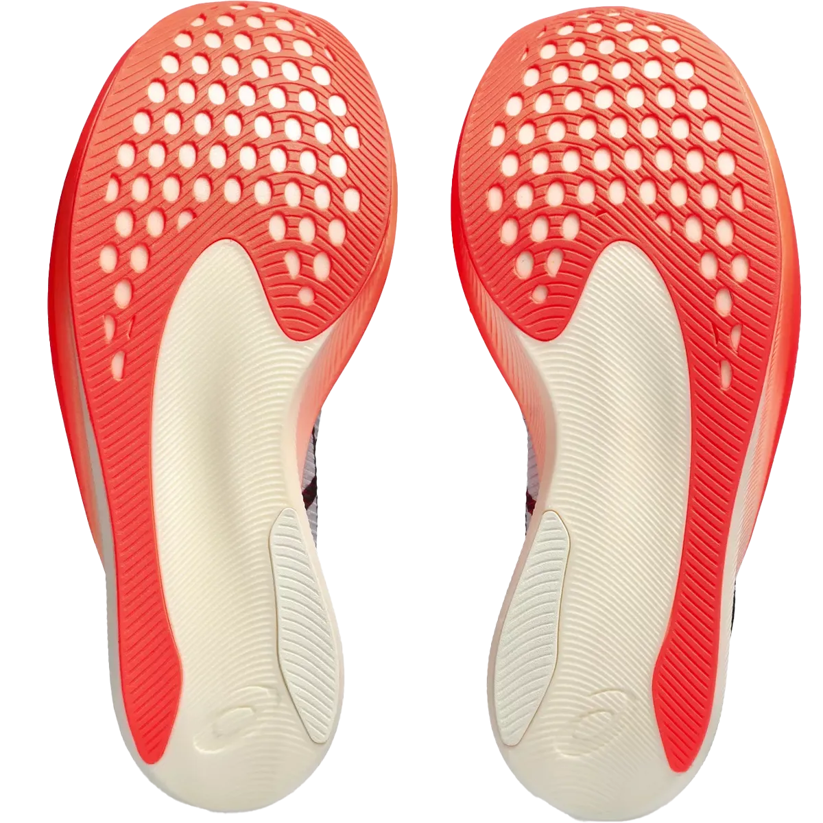 Men's Metaspeed Sky  Asics Shoes