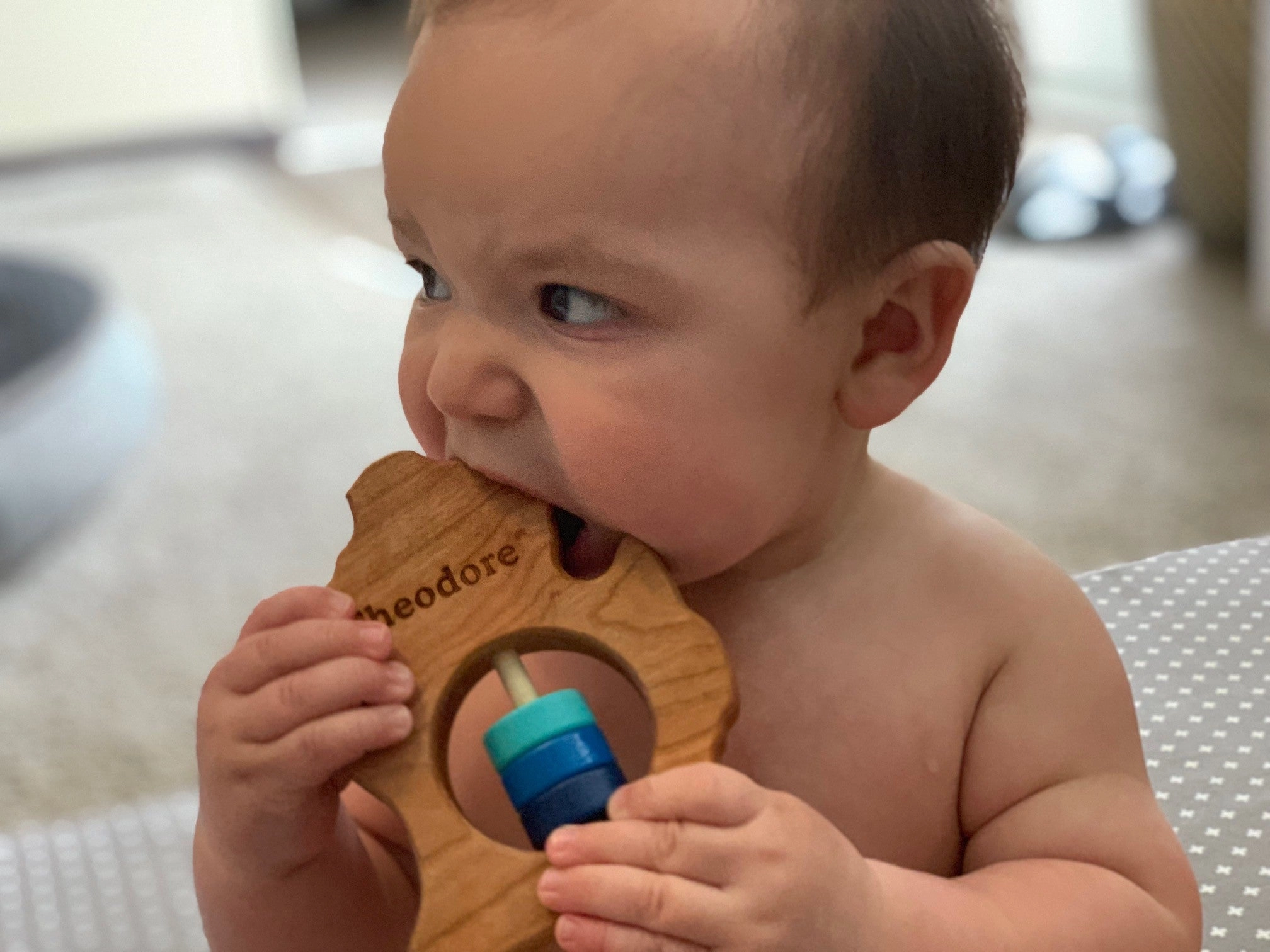Michigan (lower Peninsula) Wooden Baby Rattle
