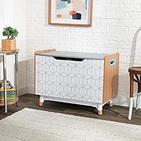 Mid-Century Kid? Toy Box