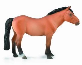 Mongolian Stallion ? Light Bay