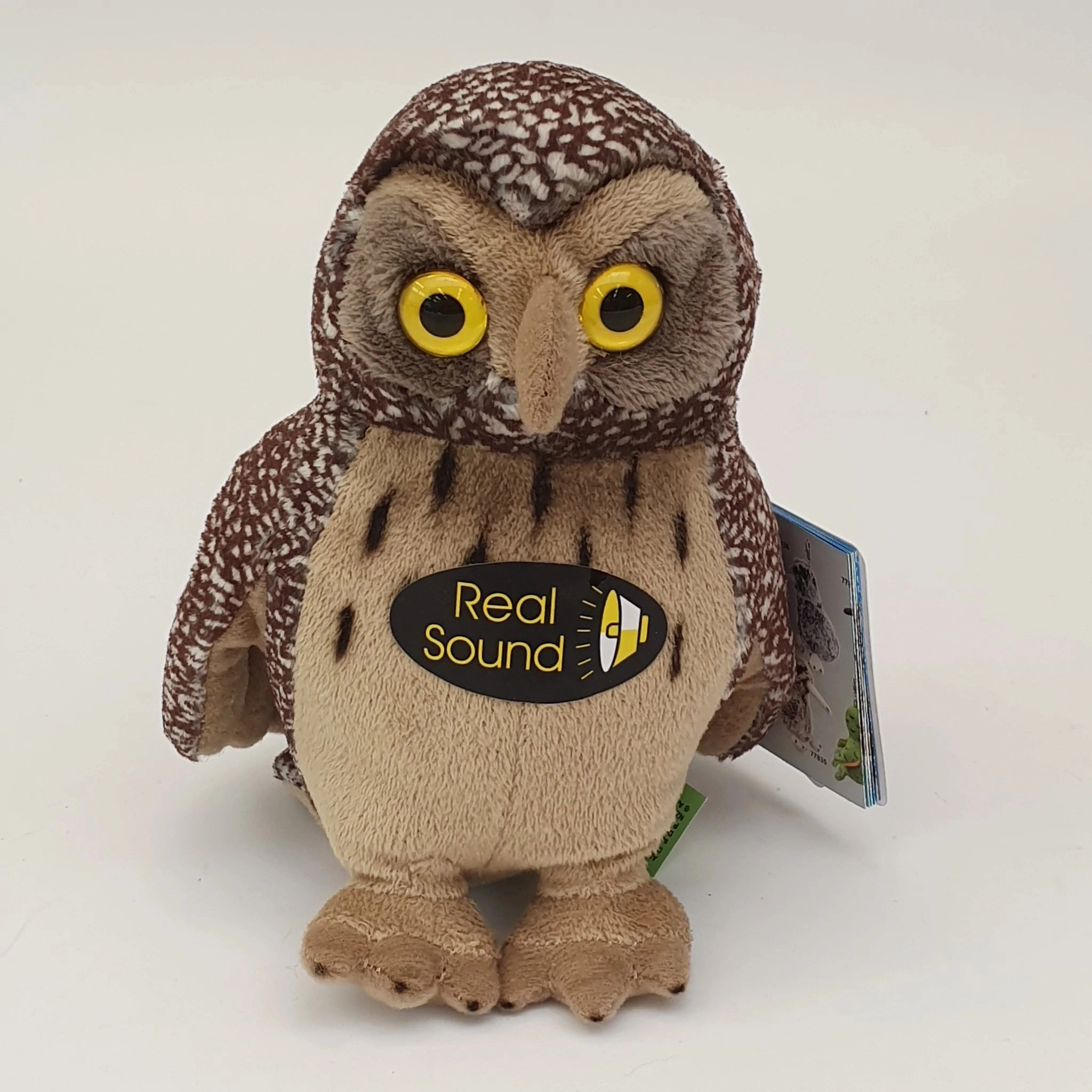 Morepork with sound
