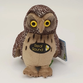 Morepork with sound