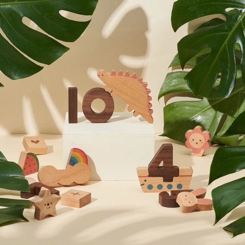 OIOIOOI Numbers Play Block Set