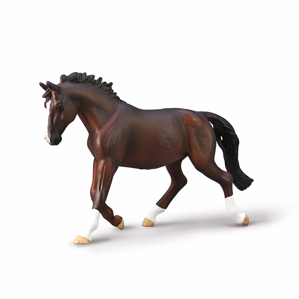 Oldenburg Mare (Bay)