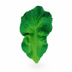 Oli & Carol Teether Kendall the Kale