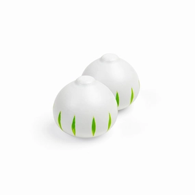 Onion (Pack of 2)