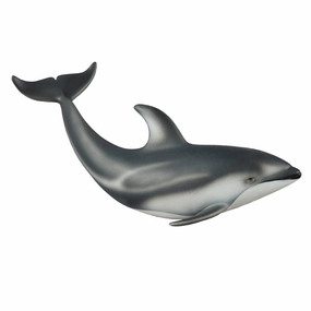 Pacific White Sided Dolphin