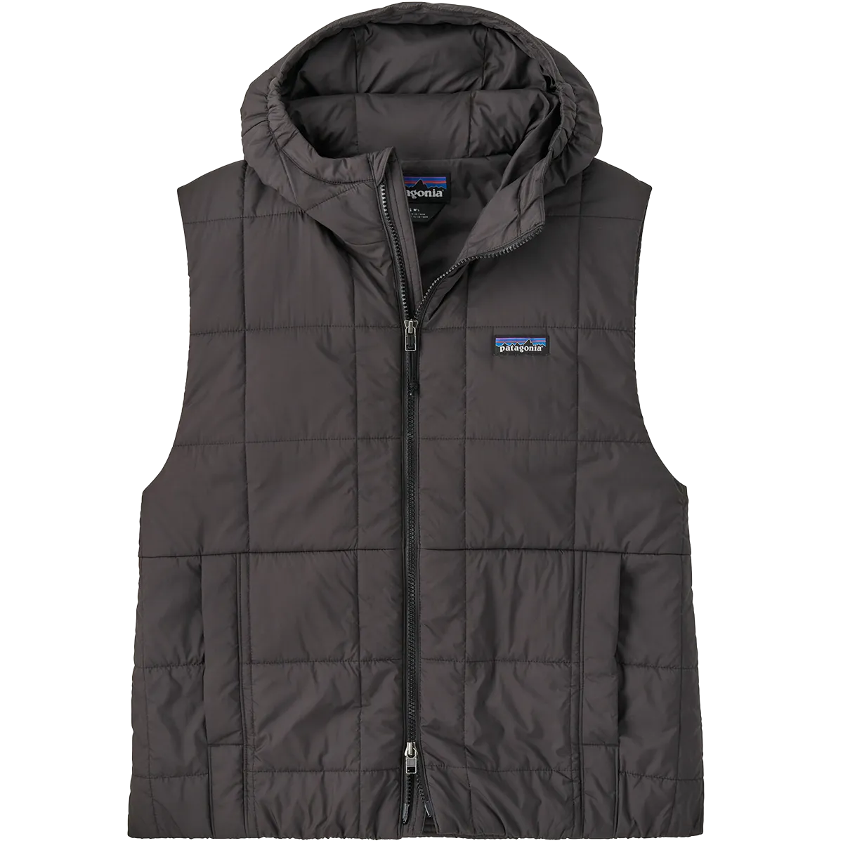 Patagonia Women's Light Gust Hooded Vest