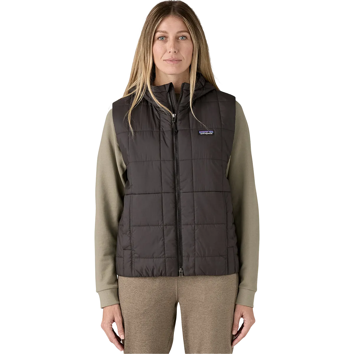Patagonia Women's Light Gust Hooded Vest