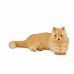 Persian Cat Lying