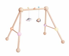 PLAY GYM