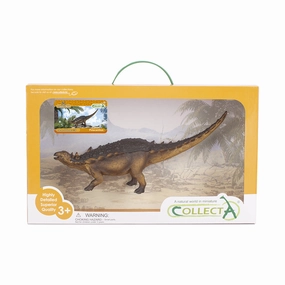 Polacanthus - Deluxe Window Box