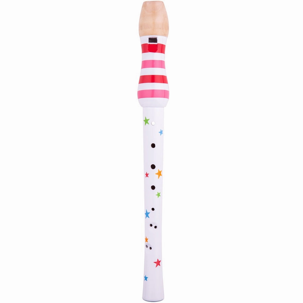 Recorder (One Supplied)