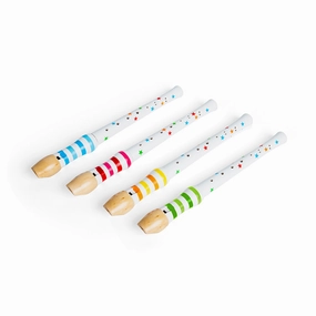 Recorder (One Supplied)