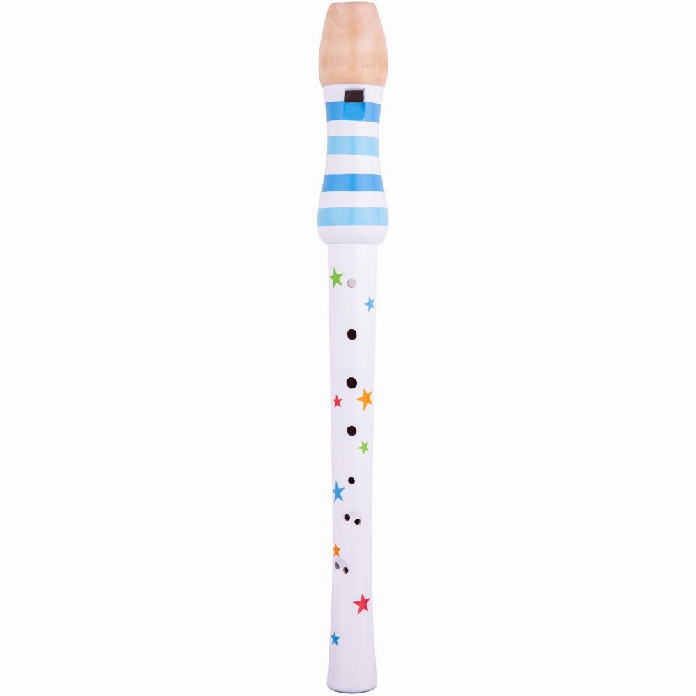 Recorder (One Supplied)
