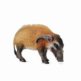 Red River Hog