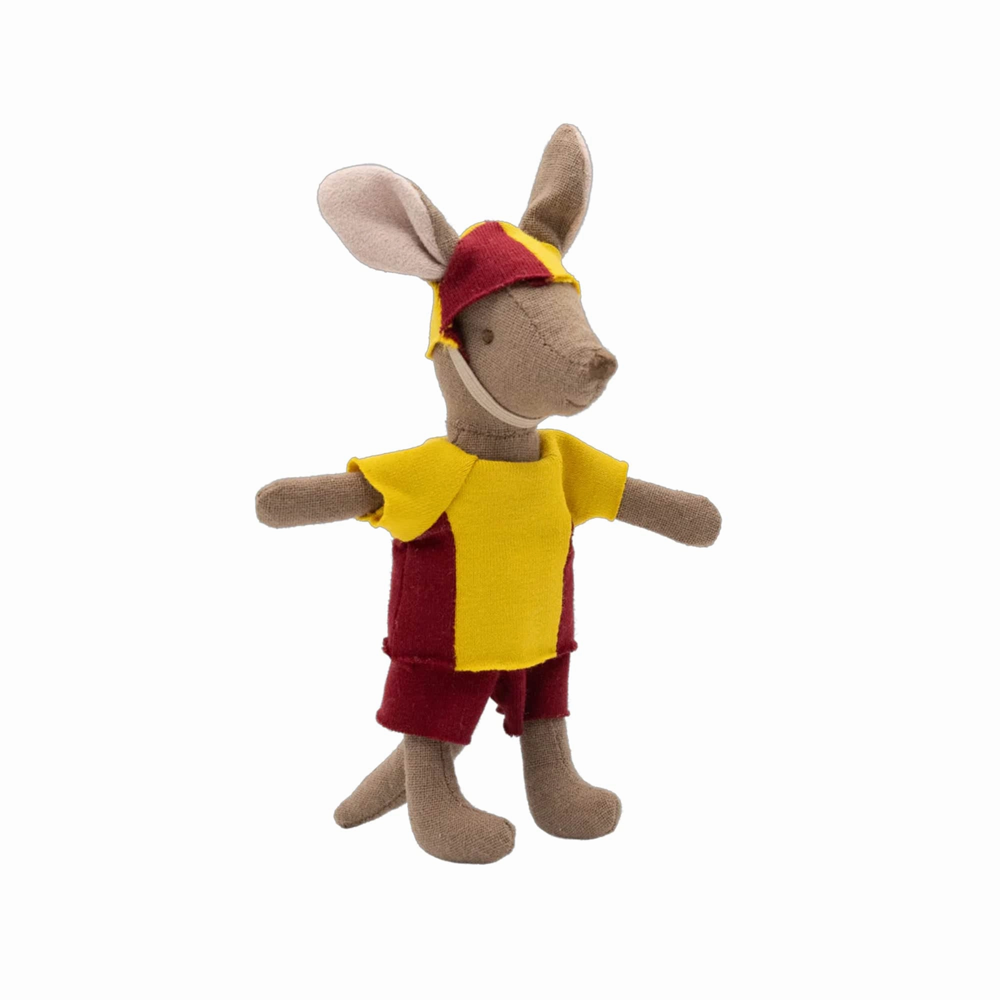 Rugaroo The Surf Rescuer
