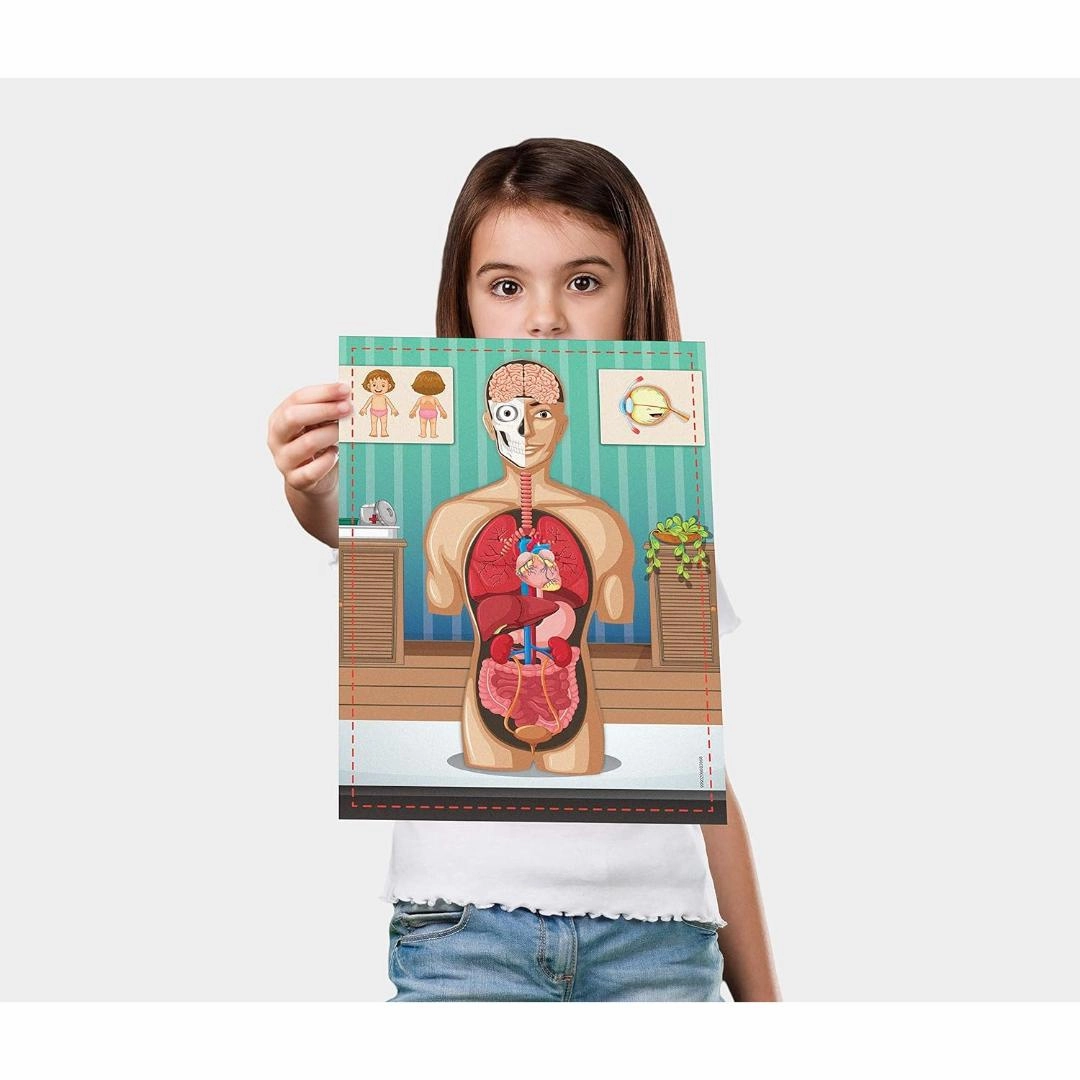 Science4you Human Body Science Set 15Activities For Kids, Discover Human Body, STEM Science Kit