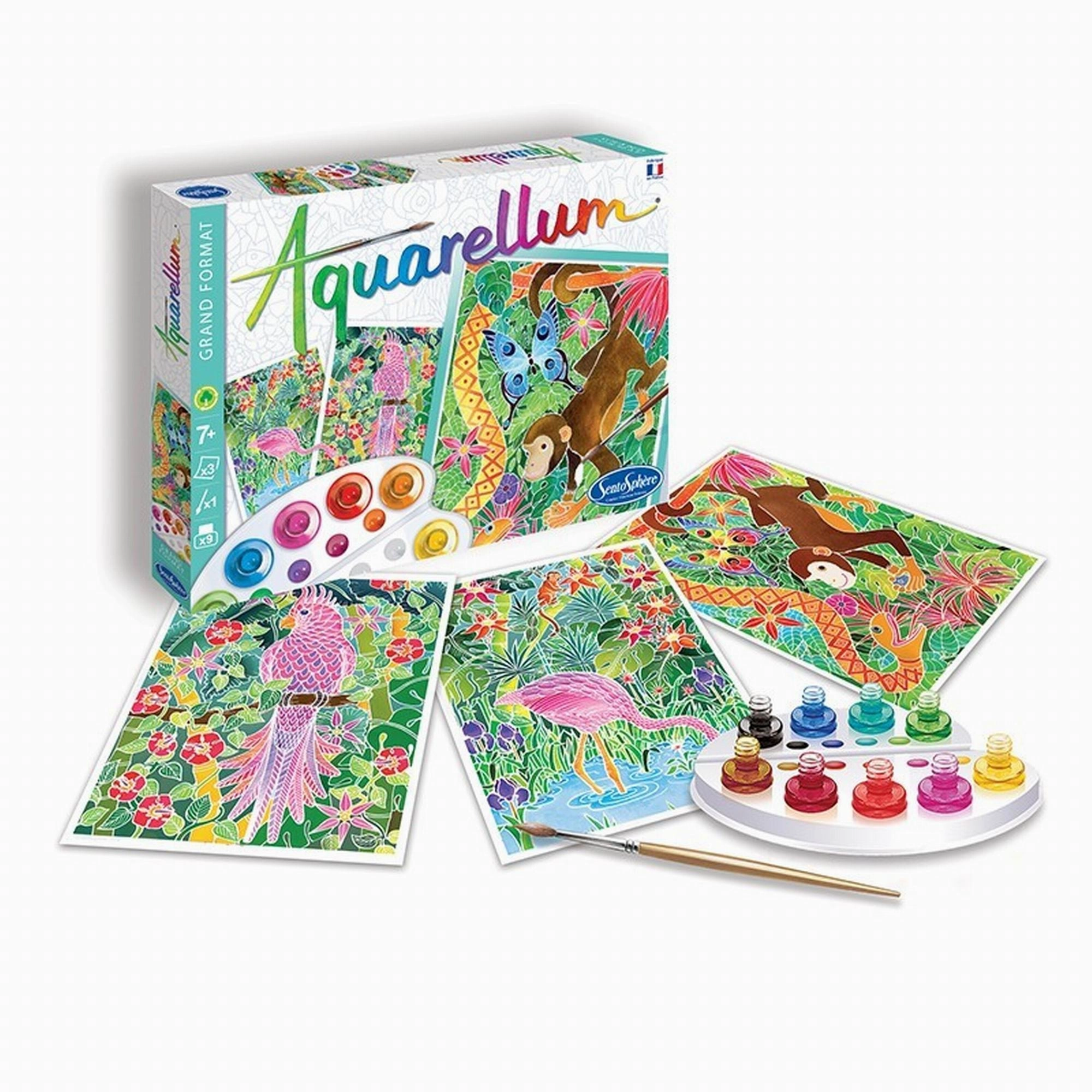 SentosphreAquarellum  Amazone 2024
