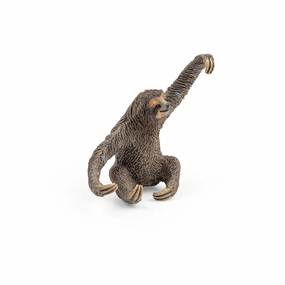 Sloth