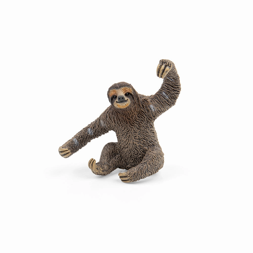 Sloth