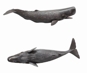 Sperm Whale collectA