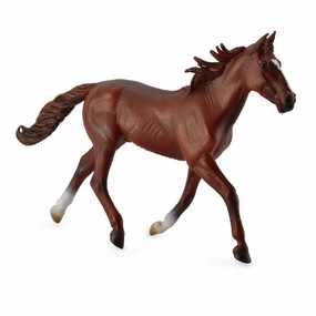 Standardbred Pacer Stallion Chestnut