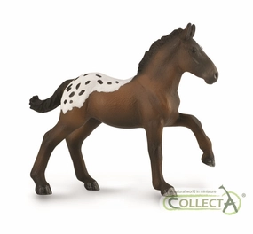 Sugarbush Draft Foal