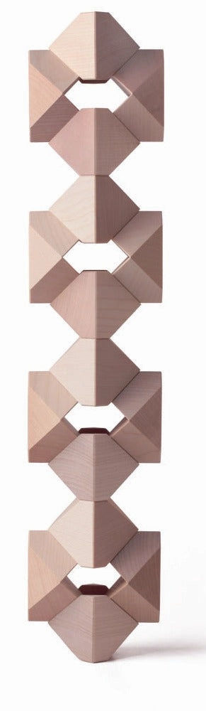 Tawa Building Blocks