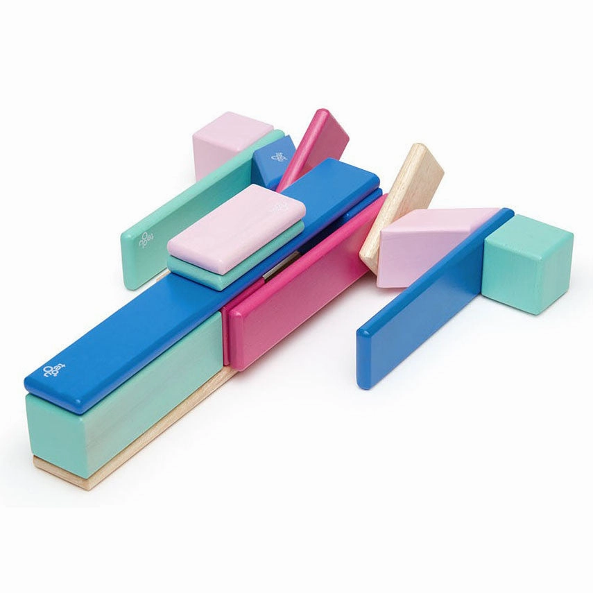 Tegu 24 Piece Set in Blossom