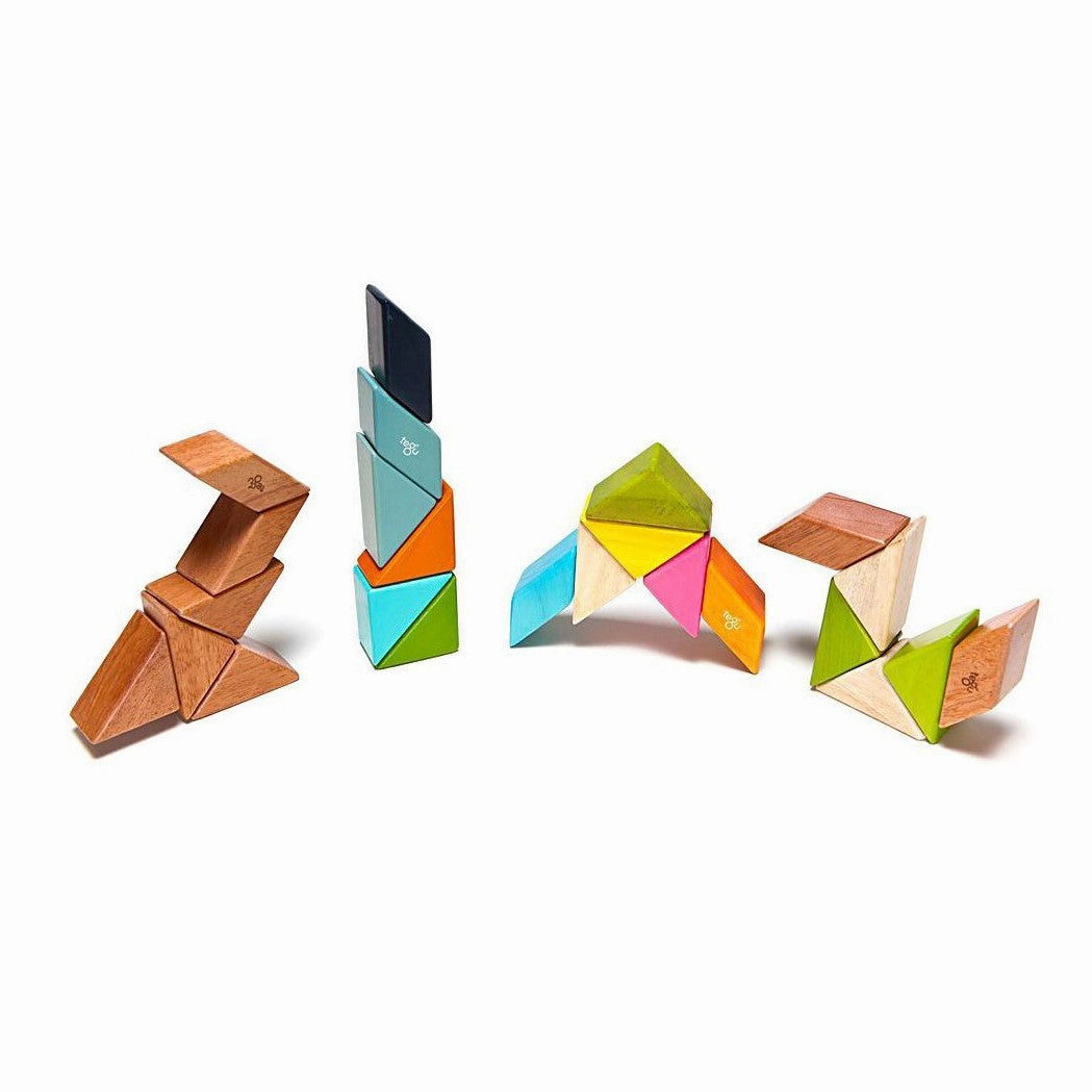 Tegu Nelson Prism Pocket Pouch
