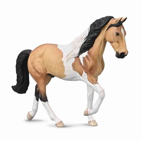 Tennessee Walking Horse Stallion -  Buckskin Tobiano