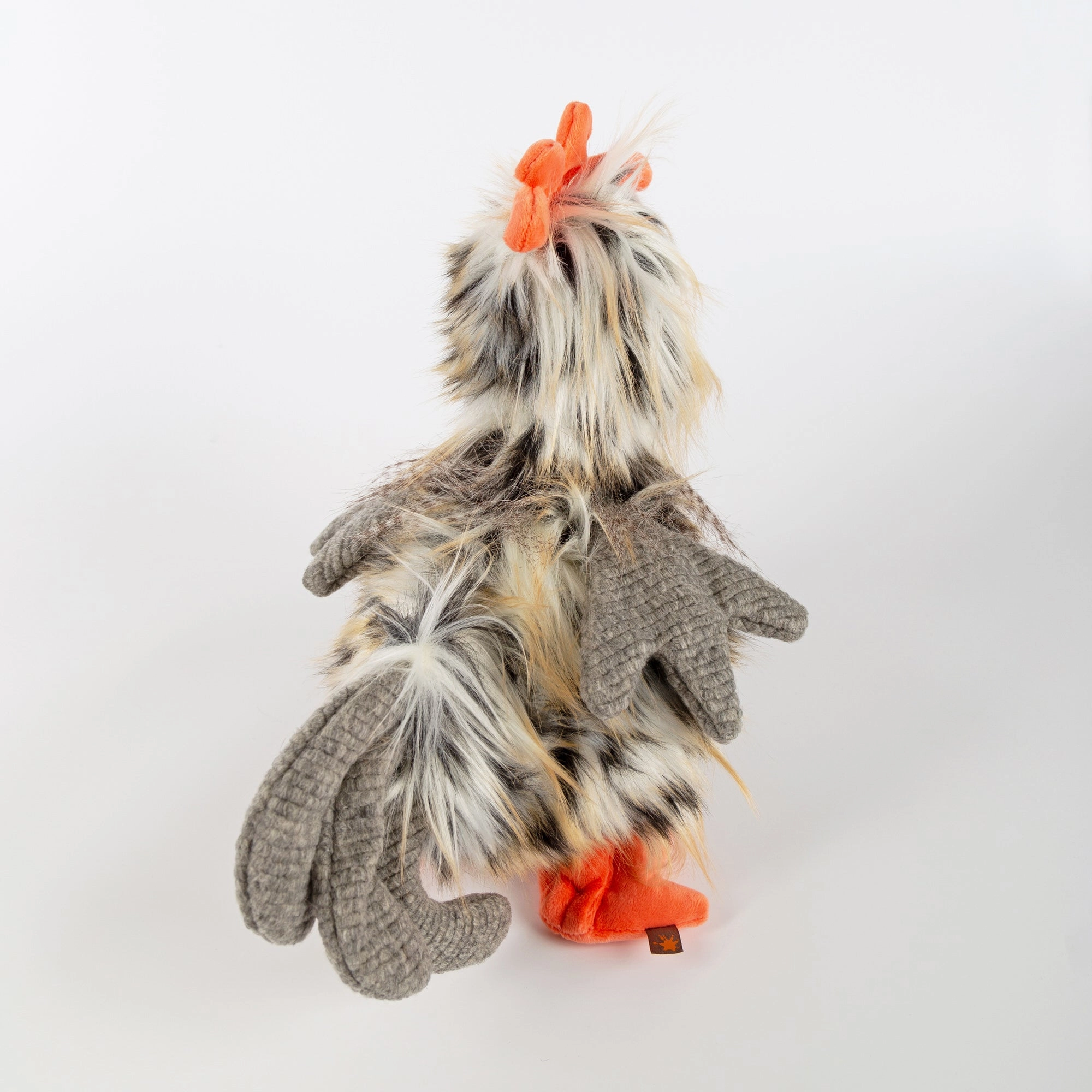 Tour De Poule