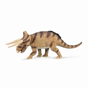 Triceratops horridus - confronting