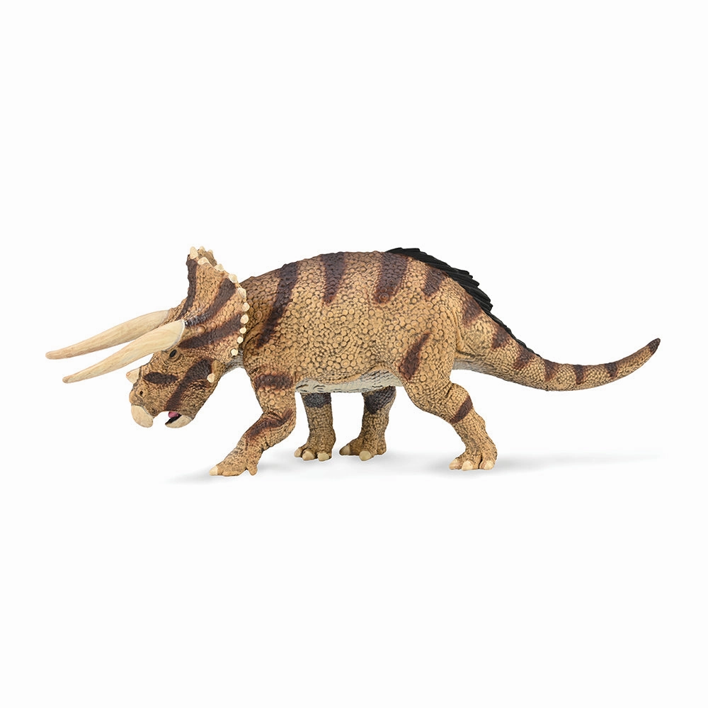 Triceratops horridus - confronting