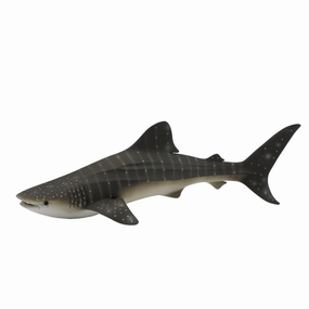 Whale Shark